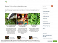 vegetableexpert.co.uk