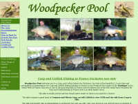woodpecker-pool.co.uk