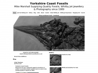 yorkshirecoastfossils.co.uk