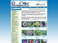 plantproviders.co.uk