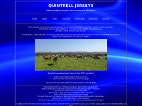 Quintrelljerseys.co.uk
