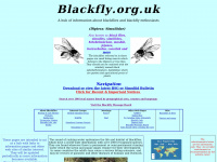 Blackfly.org.uk