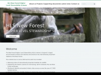 Hlsnewforest.org.uk
