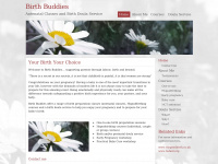 birthbuddies.co.uk