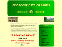 bisbrookostriches.co.uk