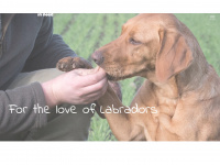 Labradorsinneed.co.uk
