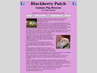 blackberrypatch.co.uk