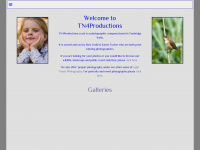 Tn4productions.co.uk