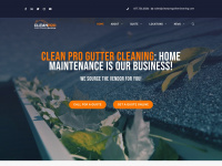 cleanproguttercleaning.com