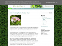wellandplantsdirect.blogspot.com