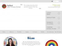 saltfordschool.org.uk