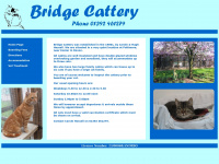 bridgecattery.co.uk