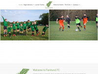 fernhurstfootballclub.org.uk