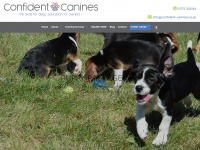 confident-canines.co.uk