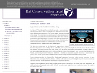 batconservationtrust.blogspot.com