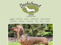dachshund-ivdd.uk