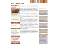 Britishcavycouncil.org.uk